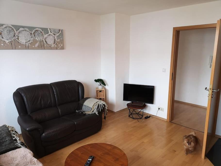 Appartement Drei Mit Kueche & Bad Weingarten (Wuerttemberg)
